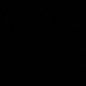 Meet your Posher, Lela